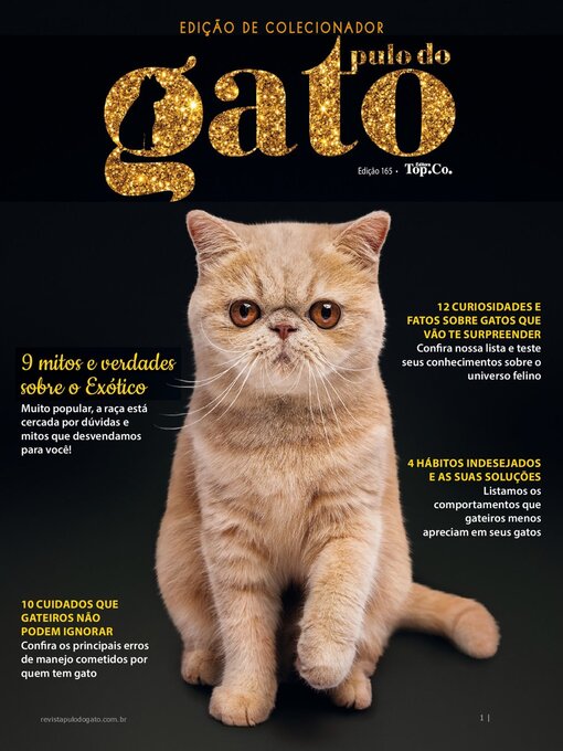 Title details for Pulo do Gato by EDICASE GESTAO DE NEGOCIOS EIRELI - Available